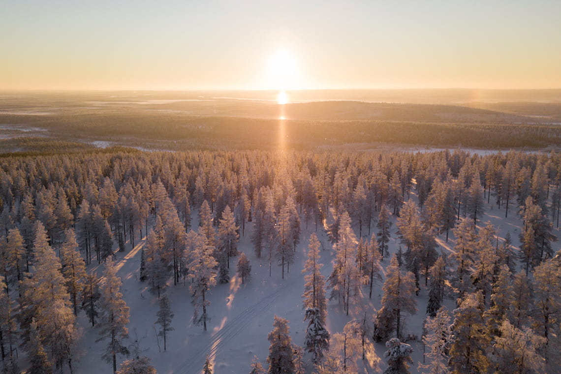 Step 1: Forest
